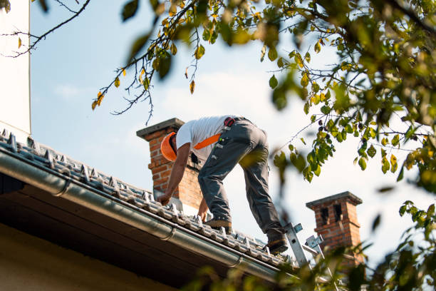 Professional Roofing in Novi, MI