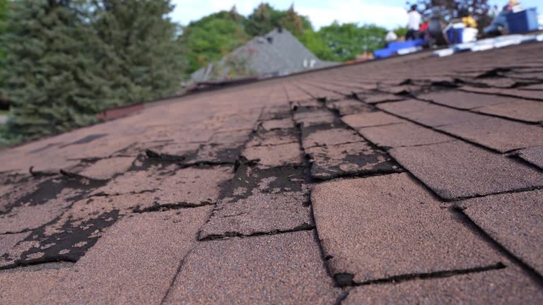 Best Solar Panel Roofing Installation  in Novi, MI
