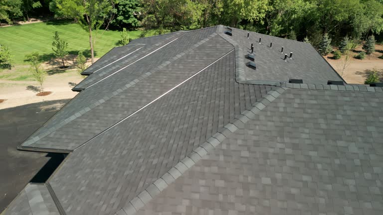 Best Asphalt Shingles Roofing  in Novi, MI