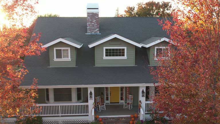 Best Chimney Flashing Repair  in Novi, MI