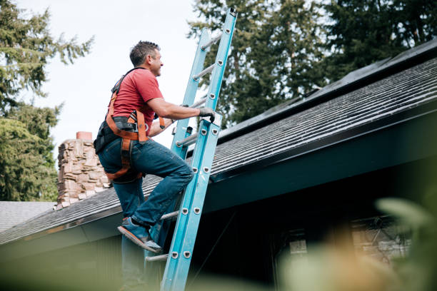 Best Sheet Metal Roofing  in Novi, MI