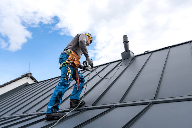 Best Flat Roofing  in Novi, MI